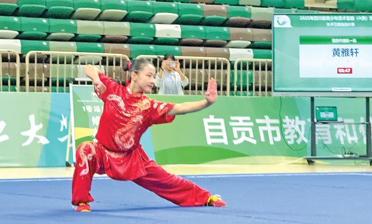 少年武术锦