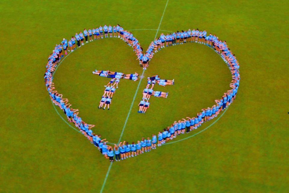 动逐年壮大, 年龄或水平