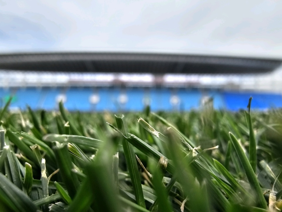 王禹也一直 王禹也一直